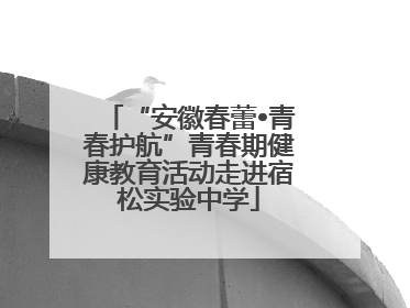 “安徽春蕾•青春护航”青春期健康教育活动走进宿松实验中学